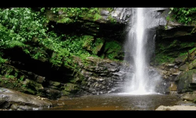 Región Selva