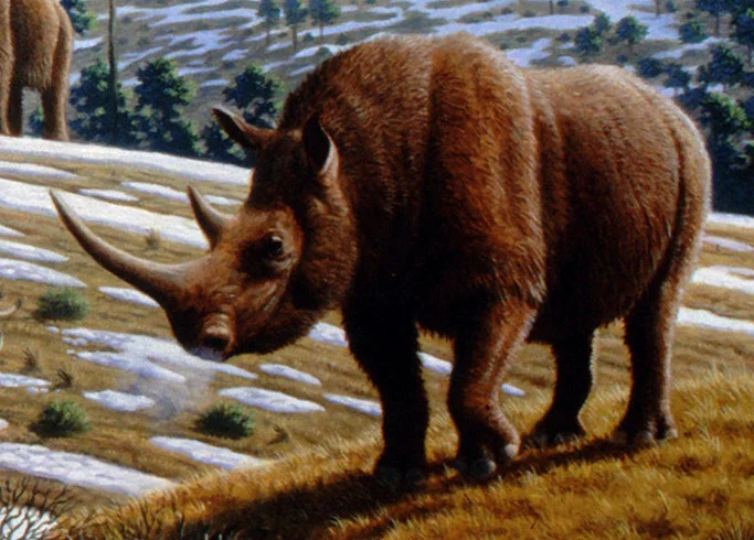 ANIMALES EXTINTOS » ¿Conocías a estas especies del pasado? ANIMALES EXTINTOS » ¿Conocías a estas especies del pasado?