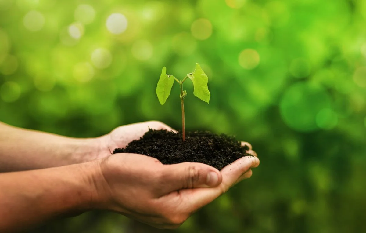 cuidado del medio ambiente Concept of the environment World Earth Day. Protect clean planet, saving environment and ecology.