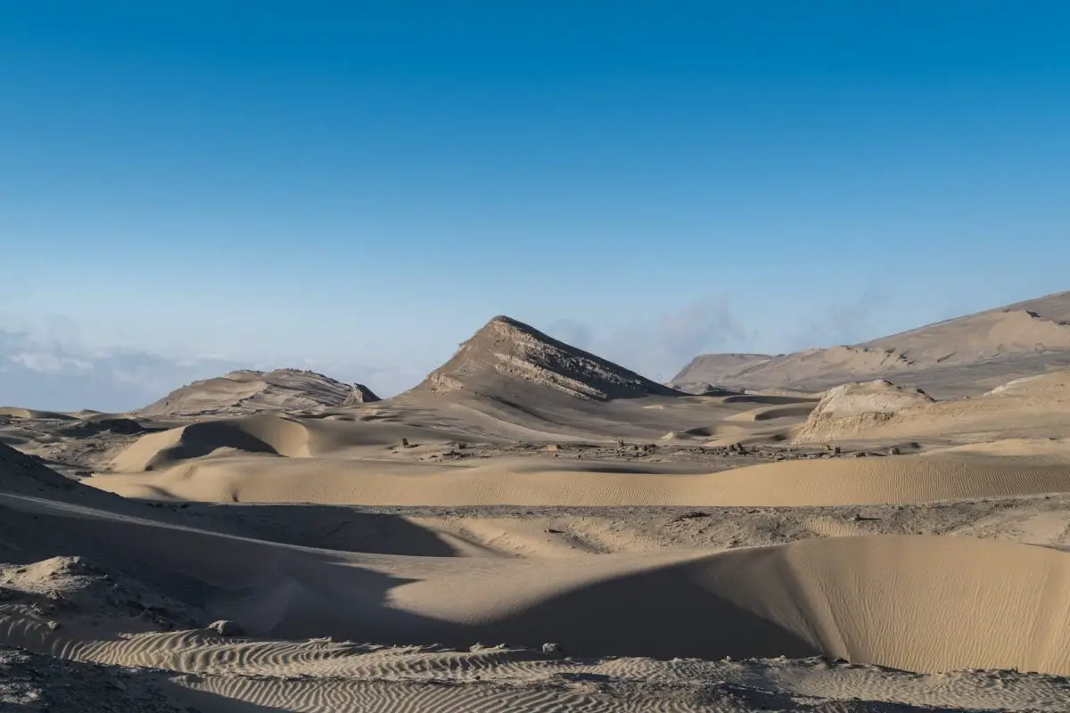 Desertificación del ambiente: Qué es, causas y consecuencias land desertification scene