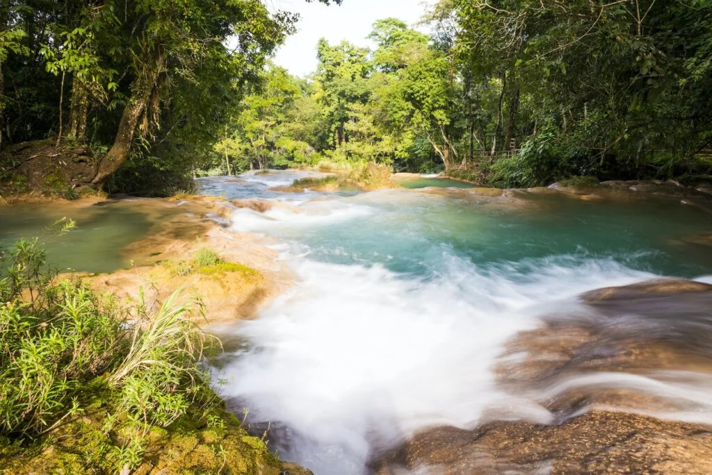 RECURSOS NATURALES » Qué son, Tipos, Ejemplos Recursos Naturales. Foto de Envato.