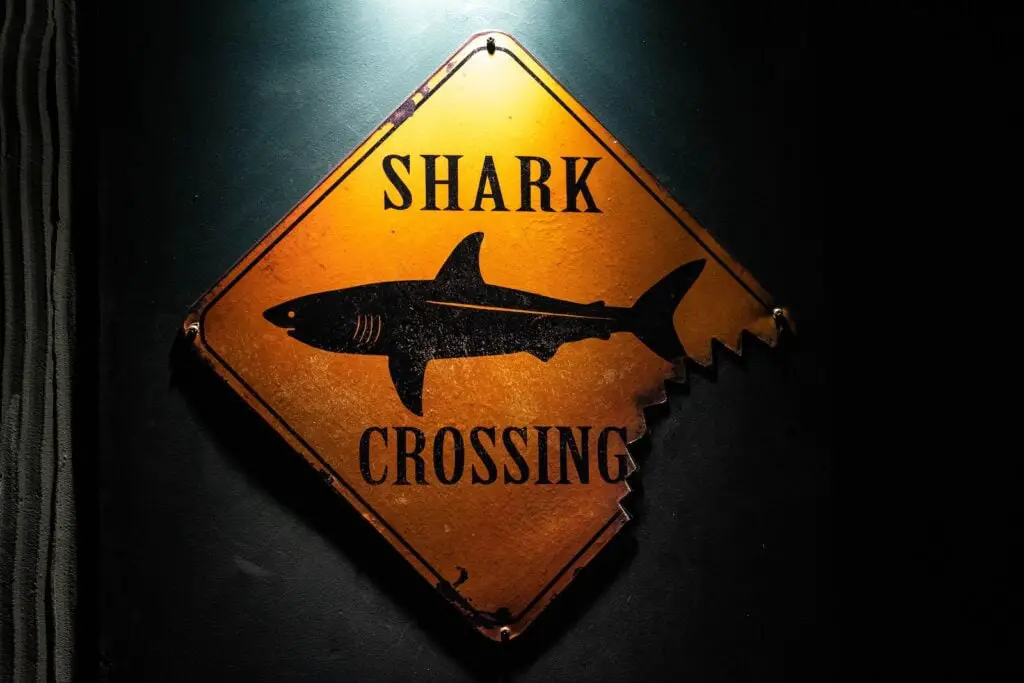 ATAQUES DE TIBURONES » Estadísticas, Cómo evitarlos Ataques de Tiburones